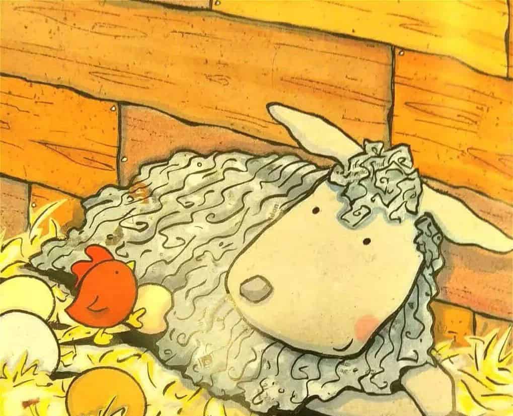 笨笨羊的奇迹 笨笨羊的奇迹