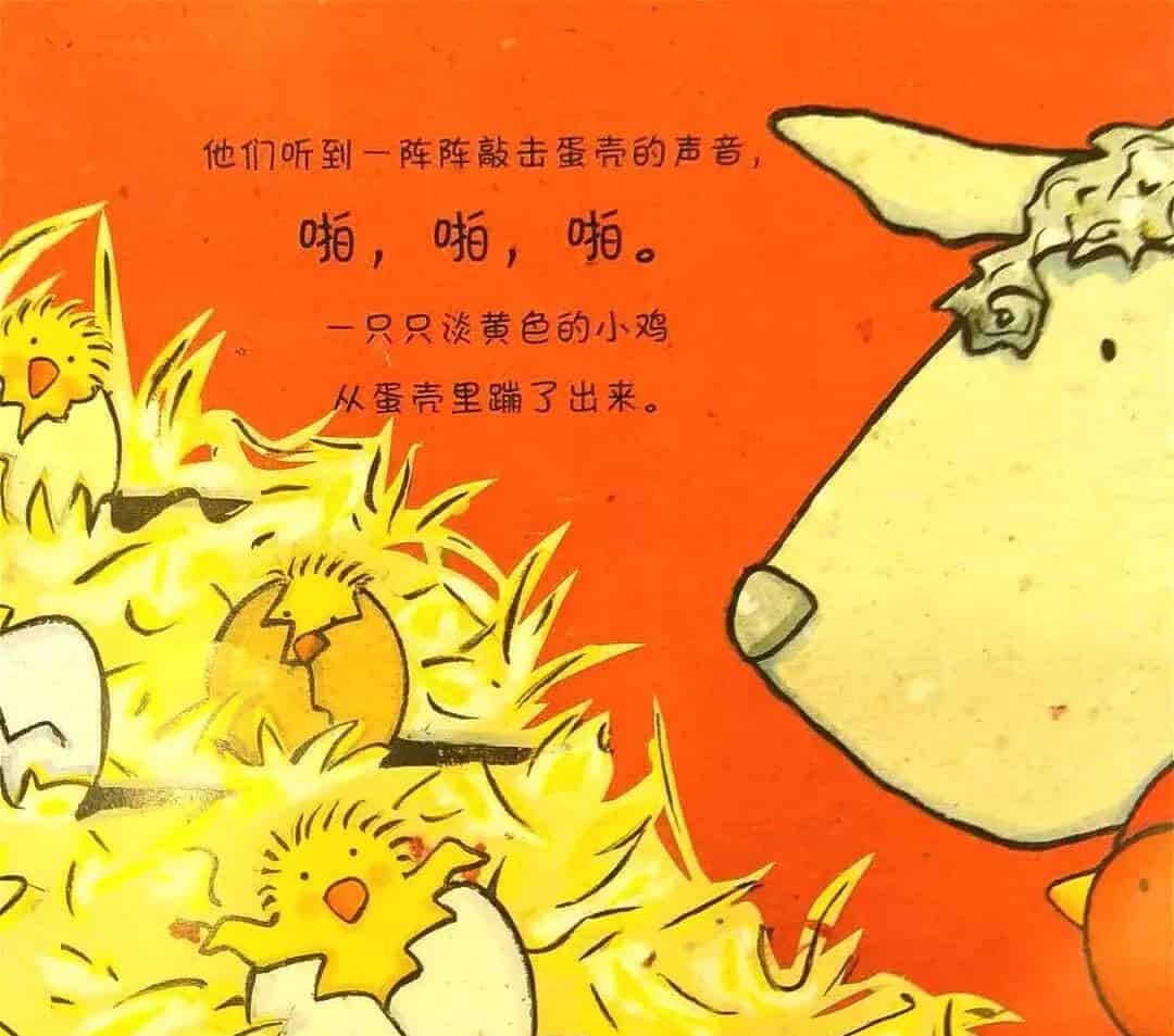 笨笨羊的奇迹 笨笨羊的奇迹