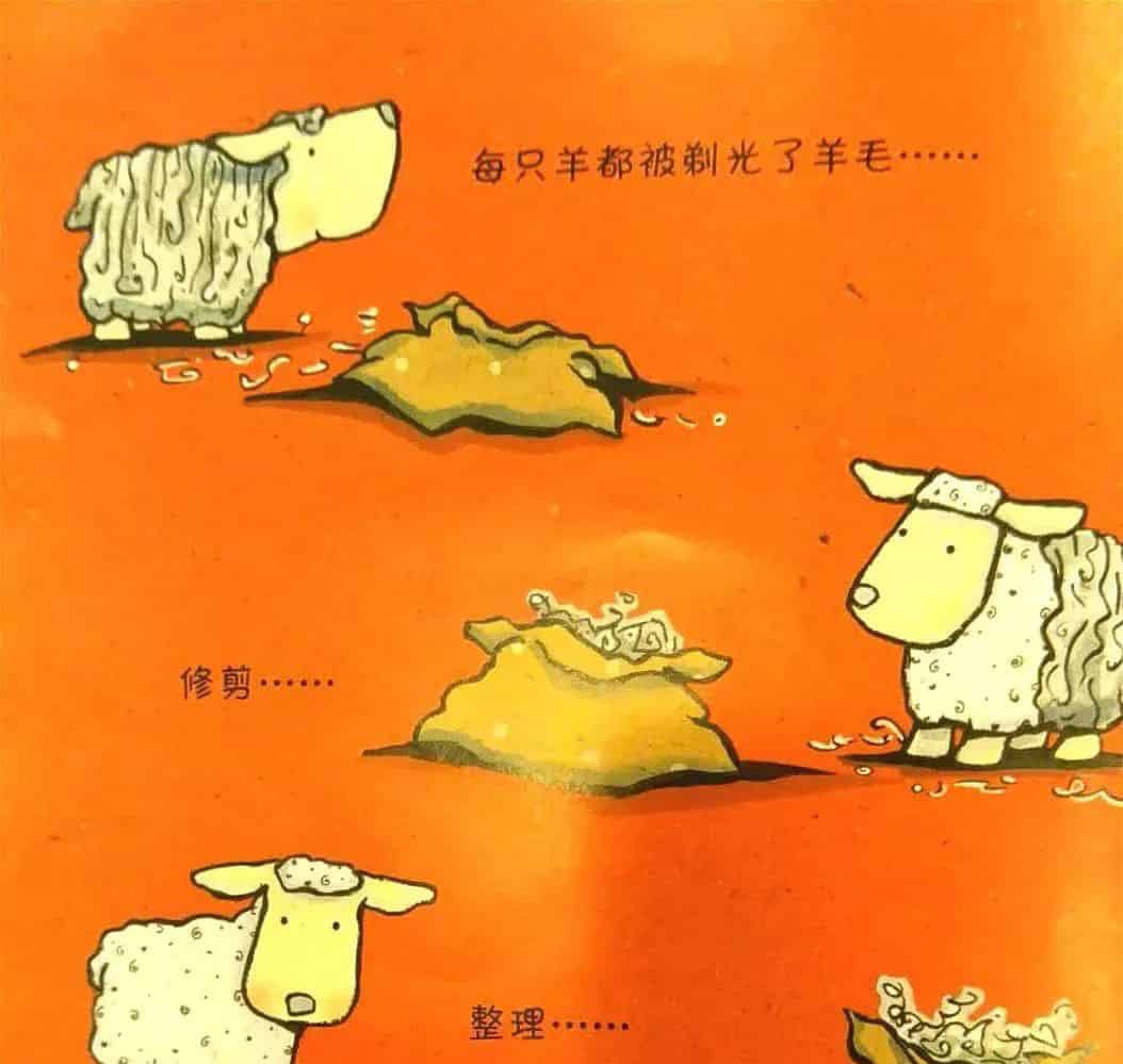 笨笨羊的奇迹 笨笨羊的奇迹