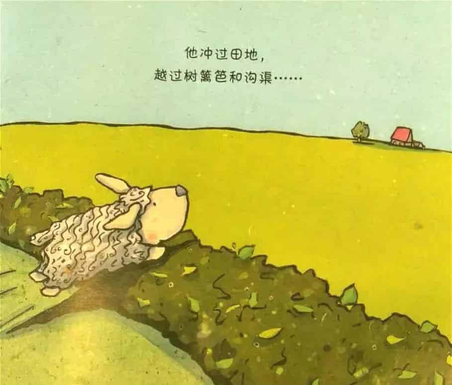 笨笨羊的奇迹 笨笨羊的奇迹