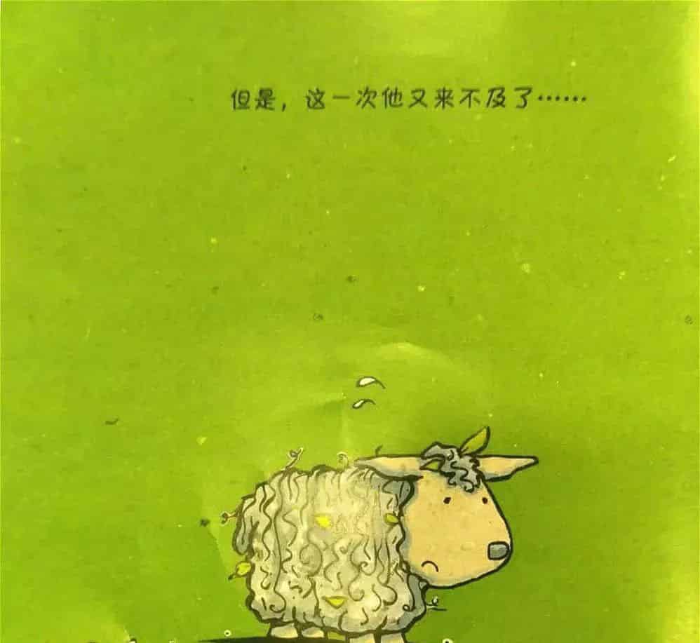 笨笨羊的奇迹 笨笨羊的奇迹