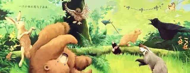 贝尔熊的新朋友