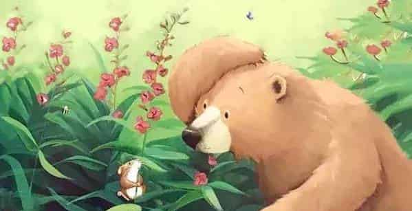 贝尔熊的新朋友