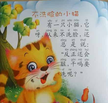 不洗脸的小猫