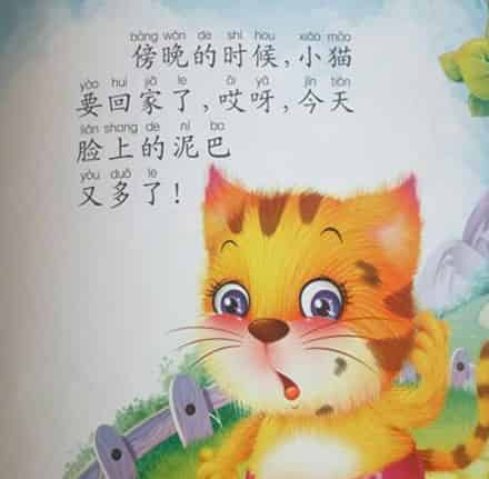 不洗脸的小猫