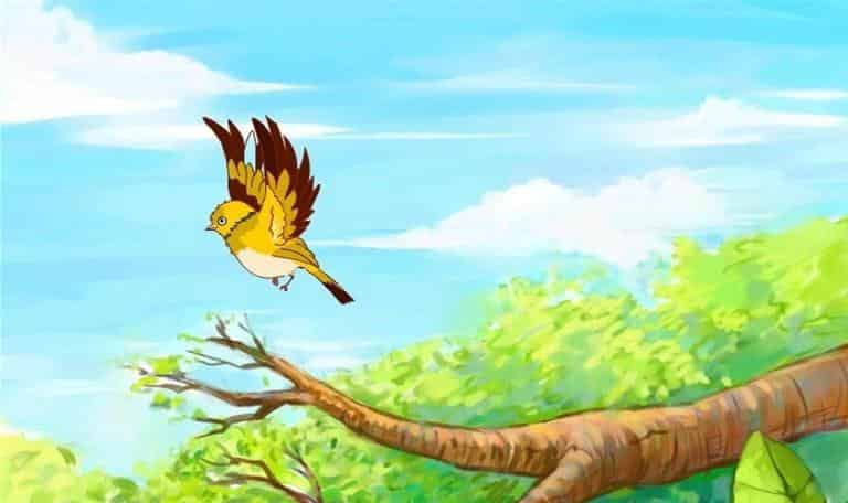 初次离开妈妈的黄鹂鸟 初次离开妈妈的黄鹂鸟