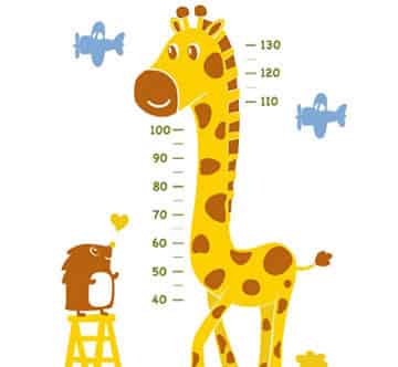 高矮妈妈 高矮妈妈