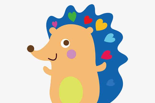 爱美的小刺猬 爱美的小刺猬