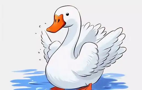 聪明的小白鹅