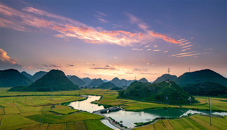 山下有棵樱桃树
