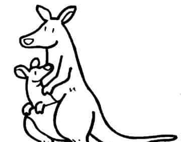 小袋鼠的神奇口袋 小袋鼠的神奇口袋