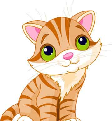 大胆鼠和胆小猫 大胆鼠和胆小猫
