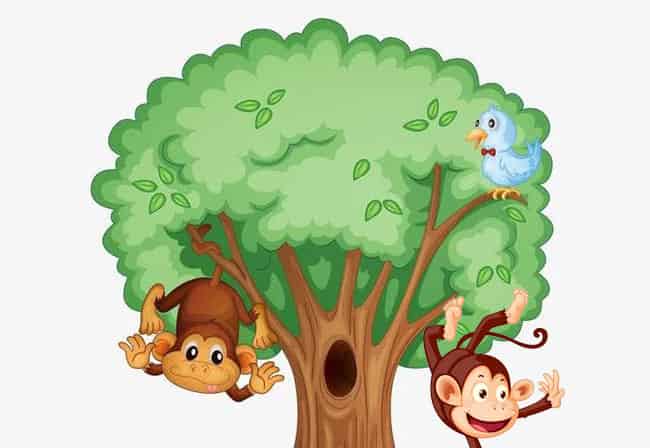 一棵很高很大的树