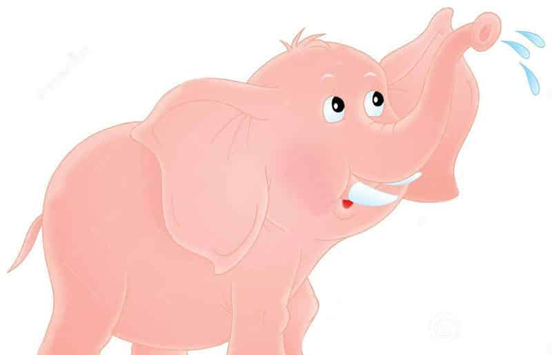 跟着大象去救火