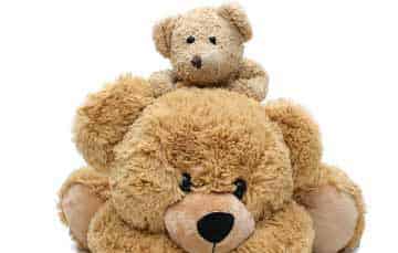 大熊小熊一起去摘莓子