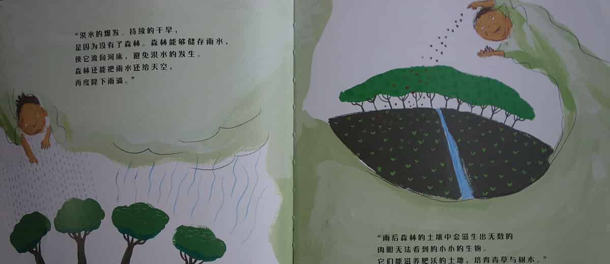 多多老板和森林婆婆