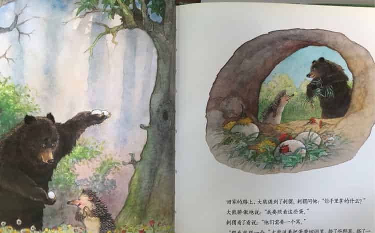 大熊捡的蛋