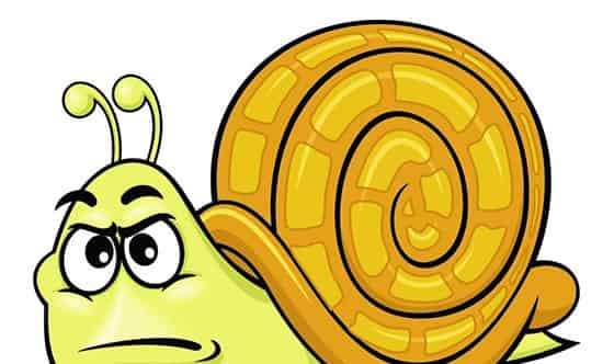 哇,带壳怪! 哇,带壳怪!