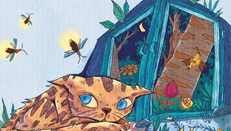 点亮梦境的星星灯 点亮梦境的星星灯