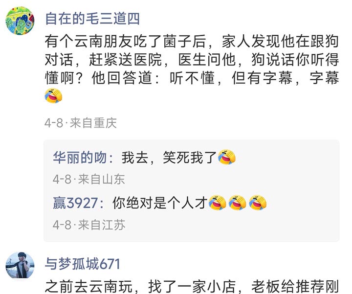 草地上的花伞 草地上的花伞