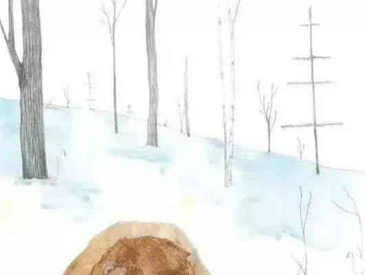 大熊有个故事要说