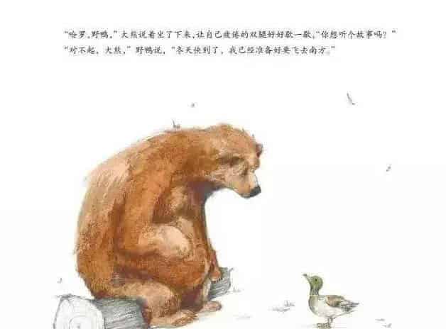 大熊有个故事要说