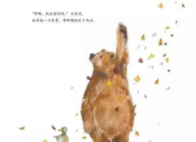 大熊有个故事要说