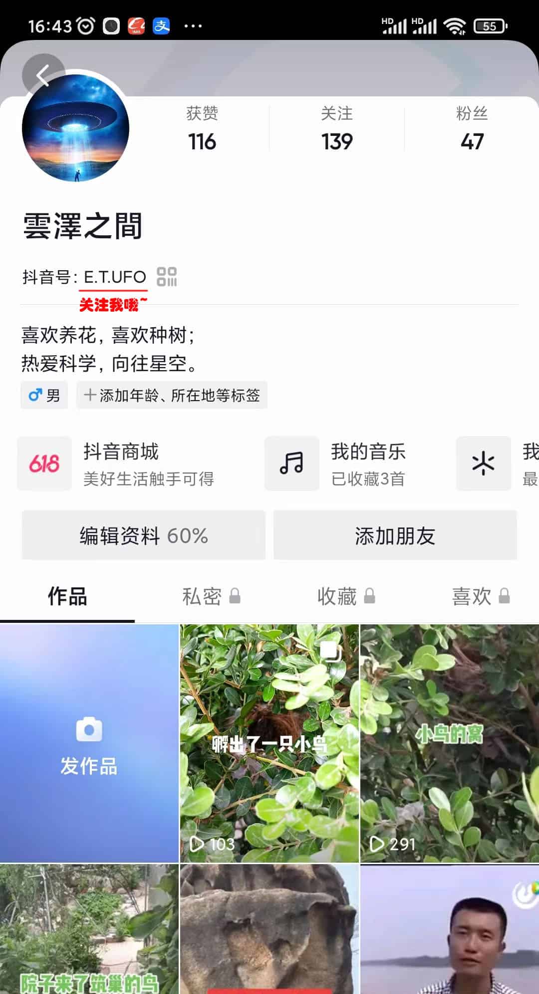 大树上的鸟儿 大树上的鸟儿