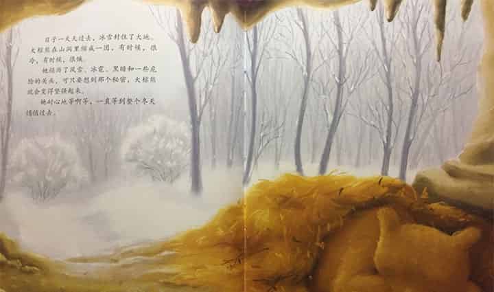 大棕熊的秘密 大棕熊的秘密