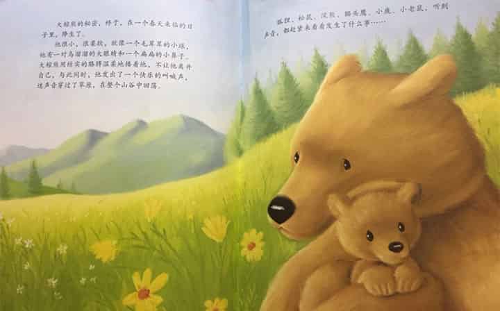 大棕熊的秘密 大棕熊的秘密