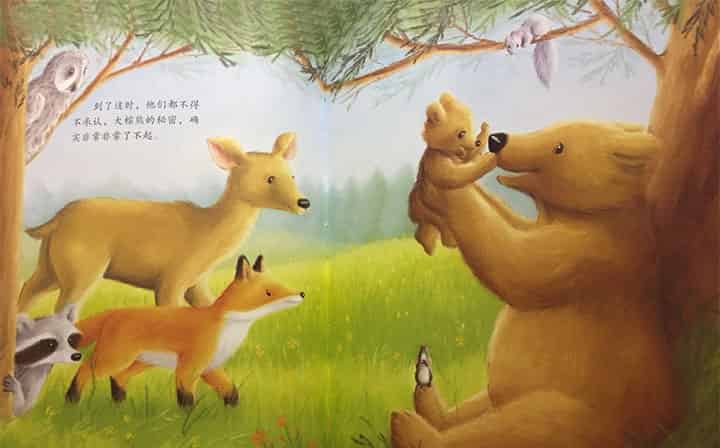 大棕熊的秘密 大棕熊的秘密