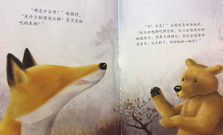 大棕熊的秘密 大棕熊的秘密