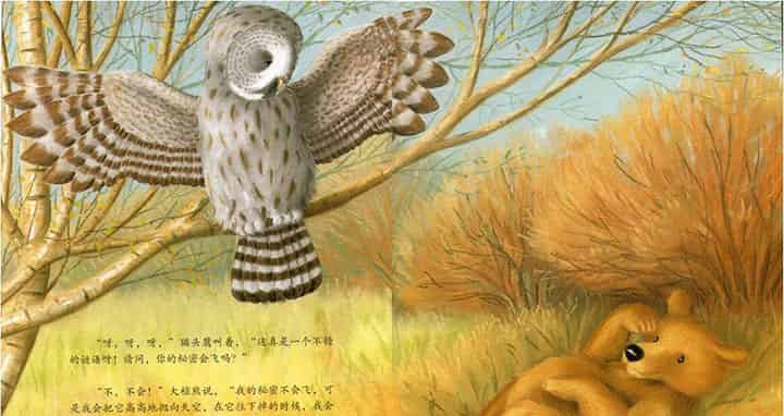 大棕熊的秘密 大棕熊的秘密