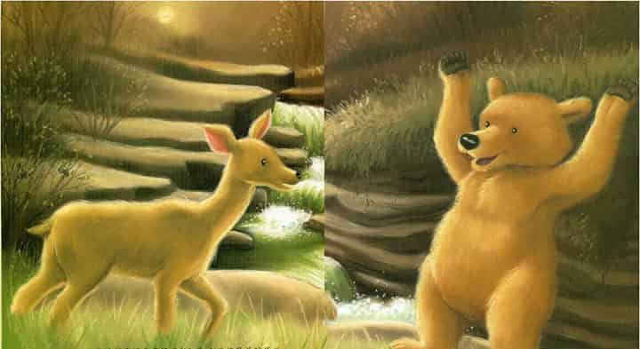 大棕熊的秘密 大棕熊的秘密