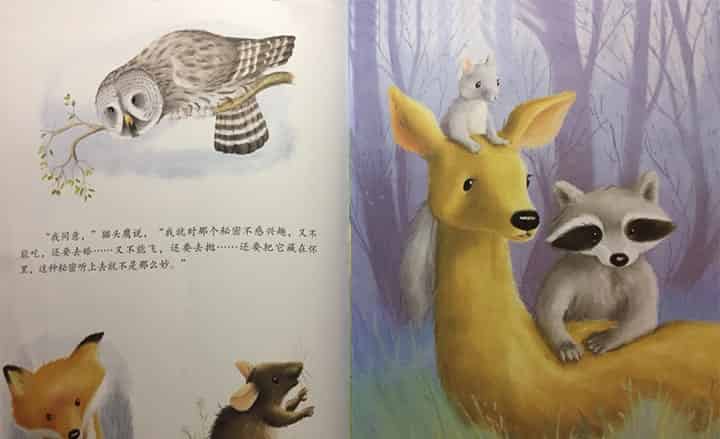 大棕熊的秘密 大棕熊的秘密