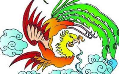 凤凰国度 凤凰国度