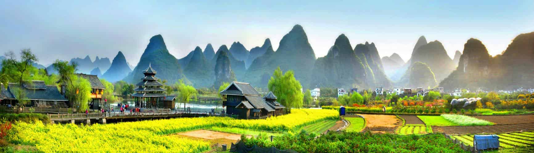 阿呆和阿瓜学艺