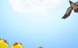 飞翔的母鸡 飞翔的母鸡