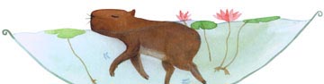 小花狗学游泳 小花狗学游泳