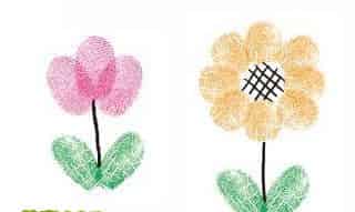 花儿的宴会 花儿的宴会