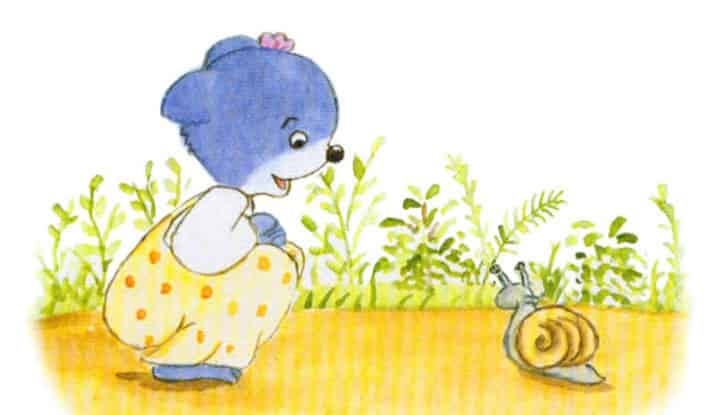 当一只蝴蝶飞过熊家 当一只蝴蝶飞过熊家