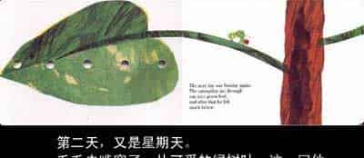 饥饿的毛毛虫(好饿的毛毛虫) 饥饿的毛毛虫(好饿的毛毛虫)