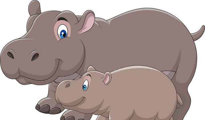 河马遇到淘气的小老鼠