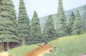 一个大喷嚏吓退了狼