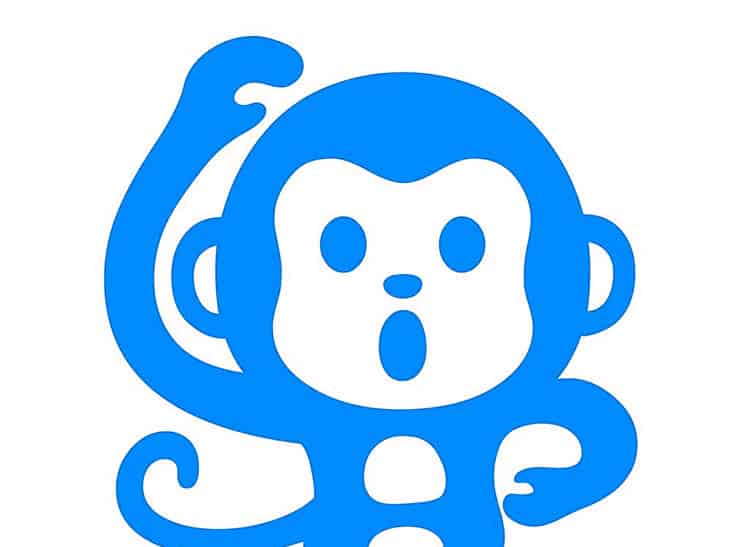 小兔子美美 小兔子美美