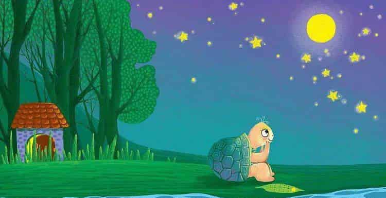 害怕变老的乌龟