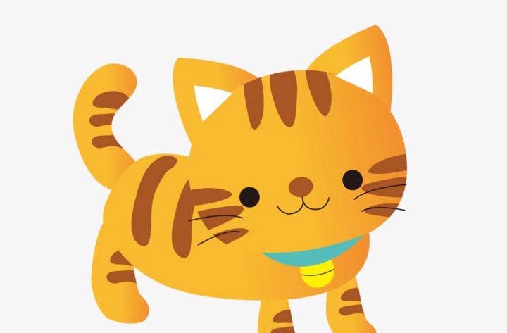 害怕老鼠的小猫咪 害怕老鼠的小猫咪