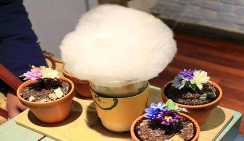 养在花盆里的棉花糖 养在花盆里的棉花糖