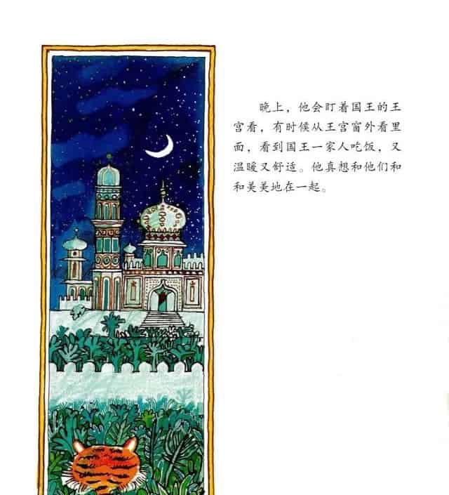 虎皮毯子 虎皮毯子