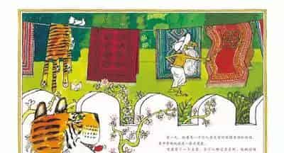 虎皮毯子 虎皮毯子